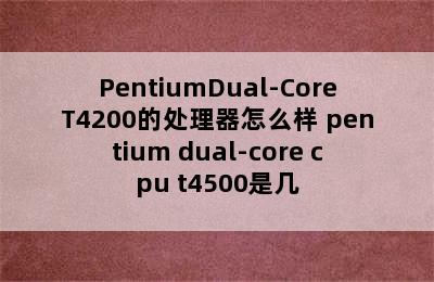 PentiumDual-CoreT4200的处理器怎么样 pentium dual-core cpu t4500是几